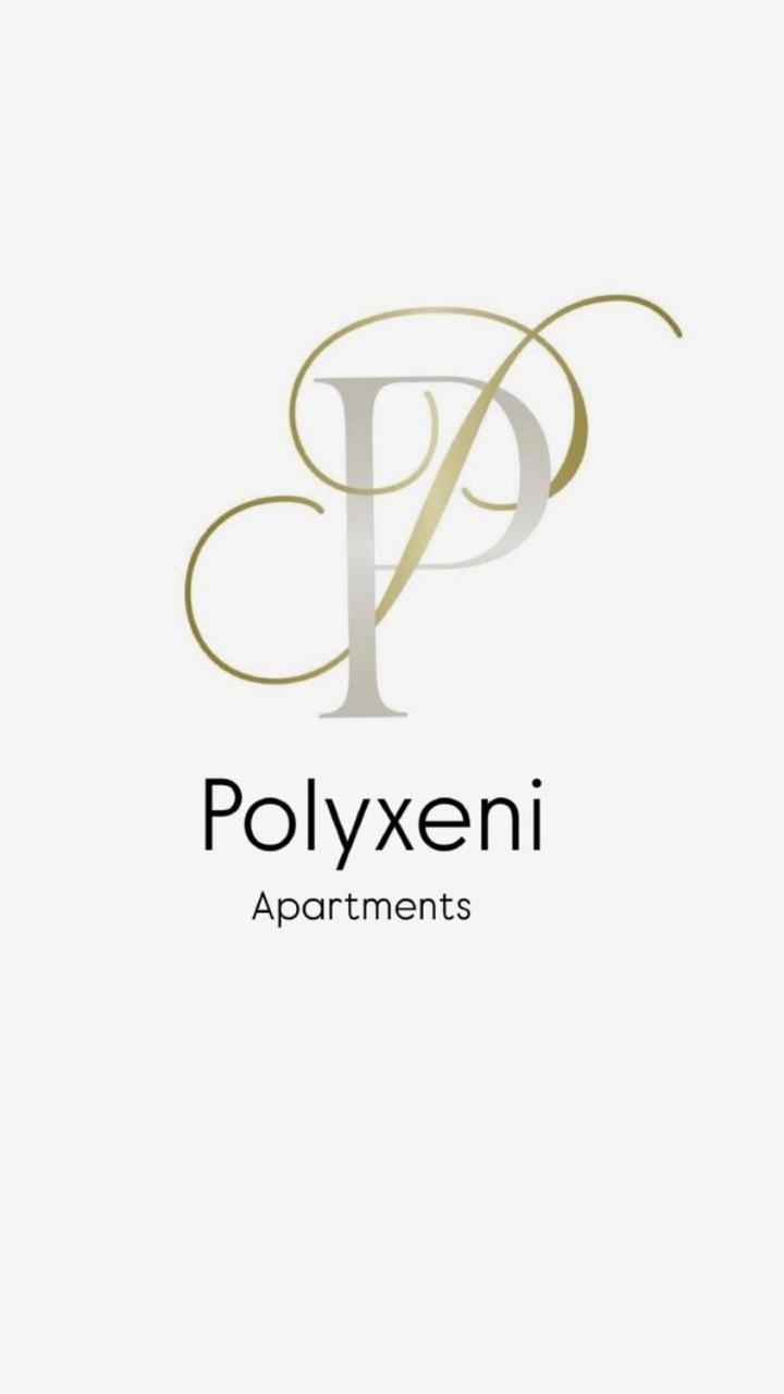 Polyxeni Apartments & Rooms Qeparo Extérieur photo
